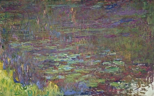 Waterlilies at Sunset, detail from the right hand side, 1915-26