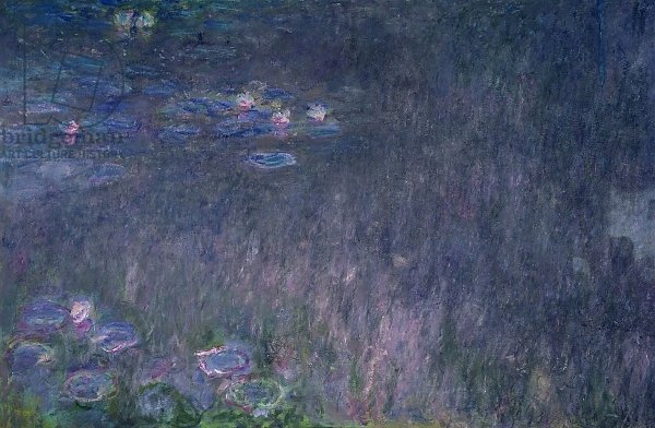 Waterlilies: Reflections of Trees, detail from the left hand side, 1915-26