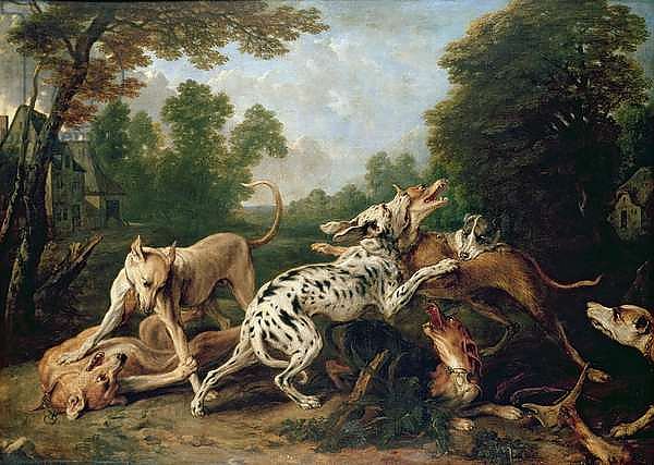 Dogs Fighting in a Wooded Clearing