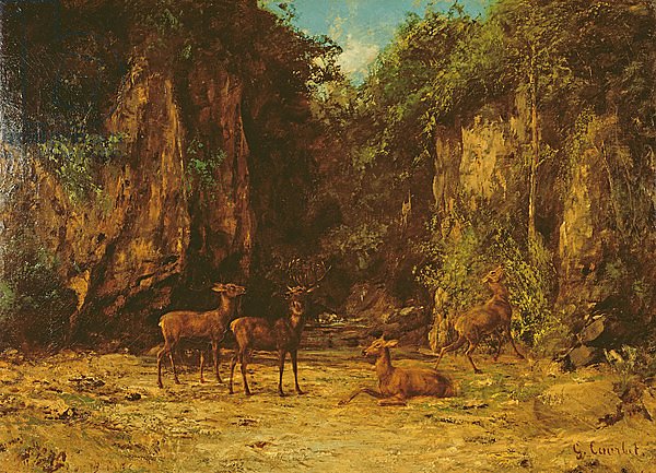 Herd of Red Deer at Dusk