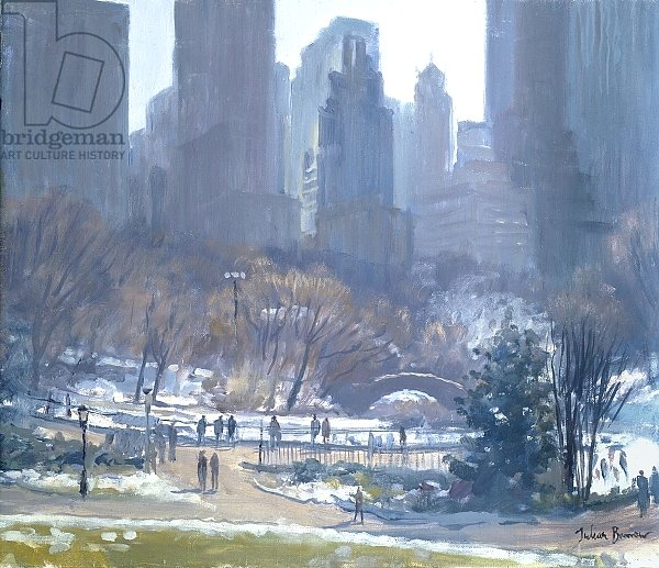 Winter in Central Park, New York, 1997