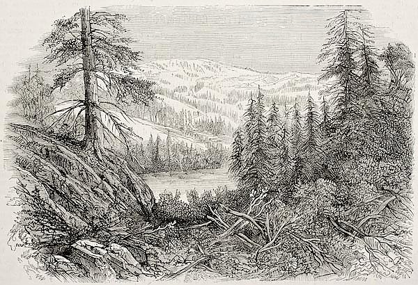 Sierra Nevada mountains, USA. Created by Provost, published on L'Illustration, Journal Universel, Pa