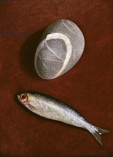 Fish and Rock Form, 1997