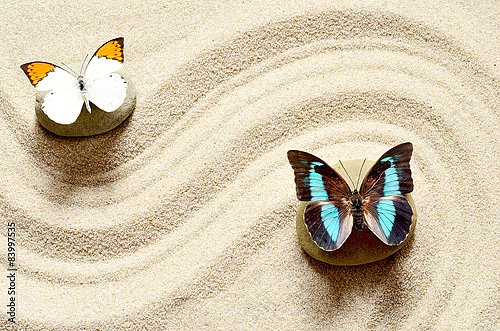 Бабочки на песке
