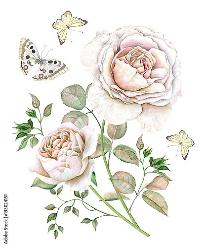 Белые розы с бабочками