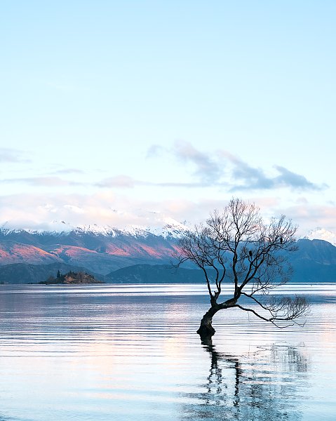 Озеро Ванака, Новая Зеландия 1