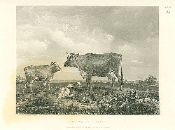 The Pasture; Osborne