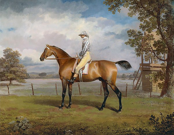 Portrait of a Racehorse Possibly Disguise with Jockey Up