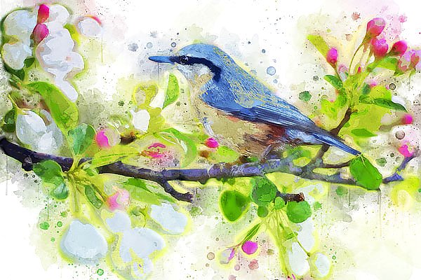 Синяя птичка на весенней ветке