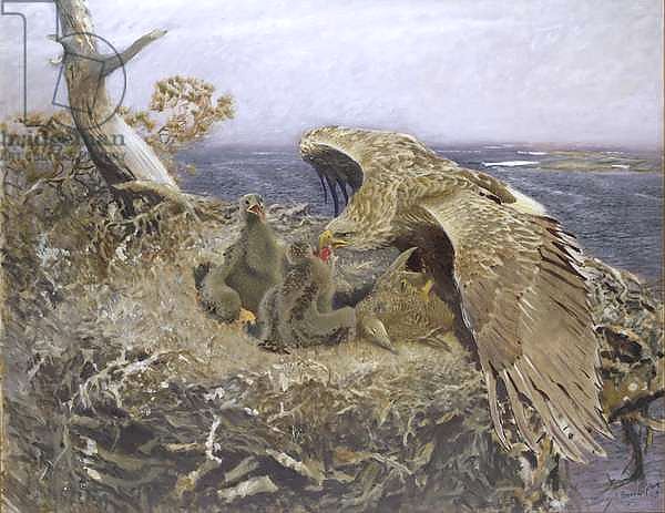 Sea Eagle's Nest, 1907