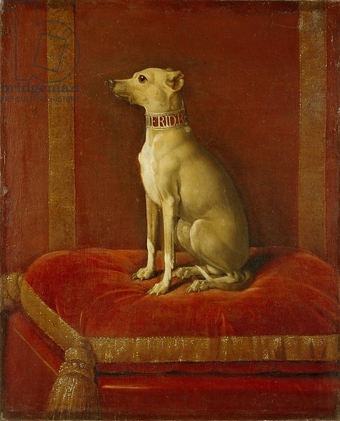 One of Frederick II's Italian greyhounds