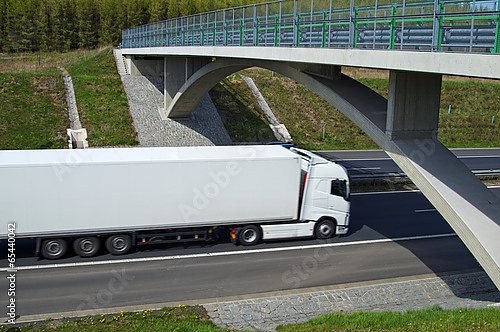 Белый грузовик грузовик под мостом на шоссе