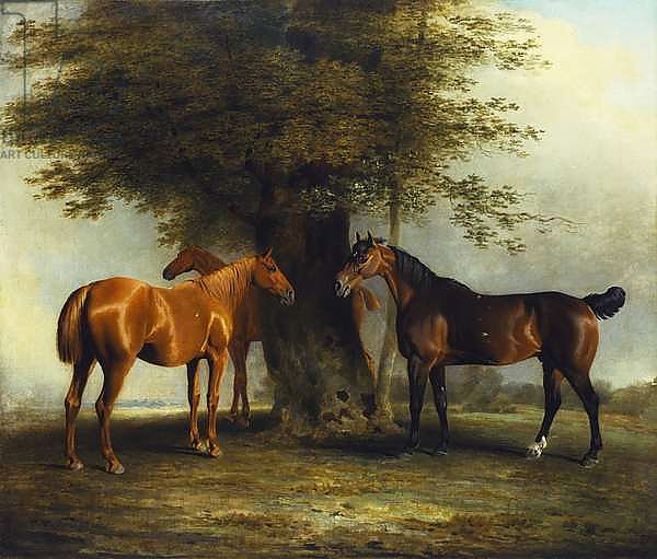 Hunters at Grass, 1801