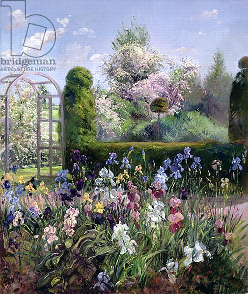 Irises in the Formal Gardens, 1993