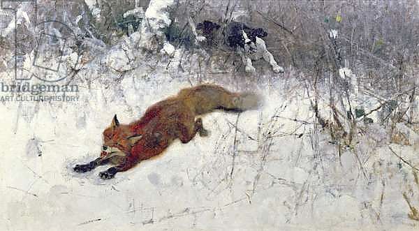 Fox Being Chased through the Snow