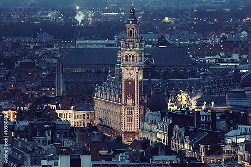 Франция, Лилль. Aerial view of Lille