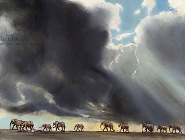 Elephant in storm, 2014