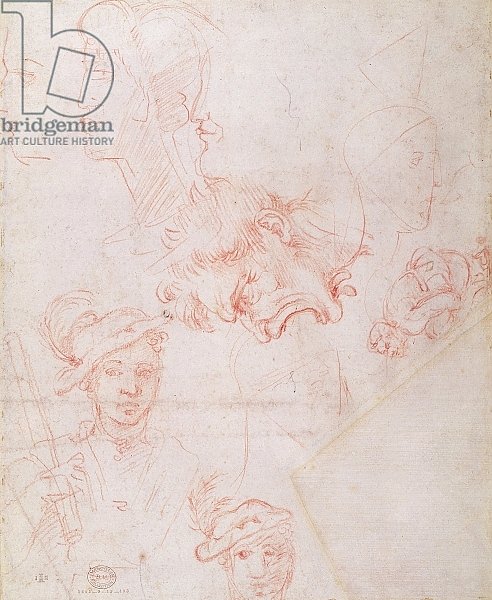 Studies of heads, 1508-12d