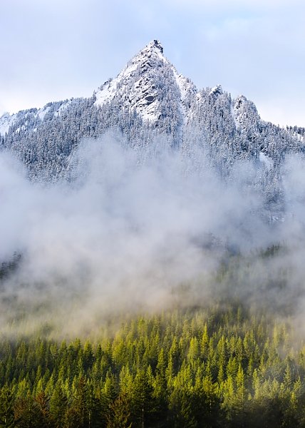 Гора, туман и лес