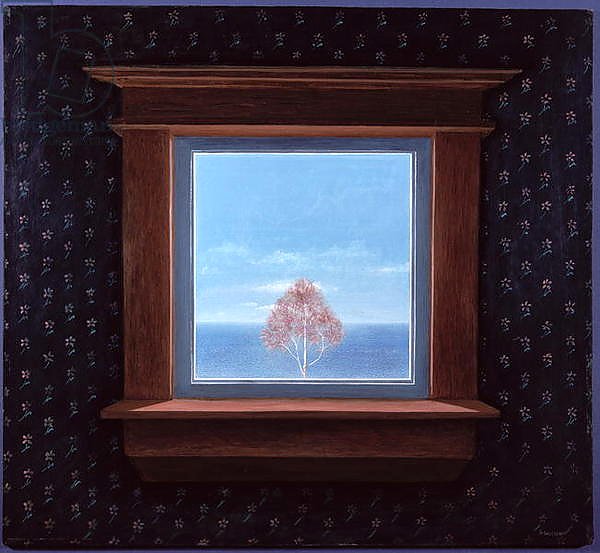 Through the Window, 1981
