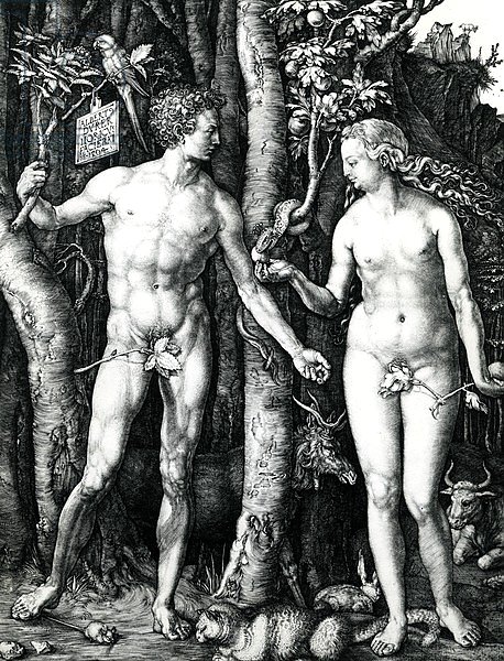 Adam and Eve, 1504