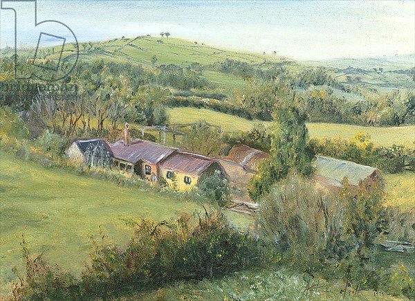 Meadow Farm Cottage, 1999