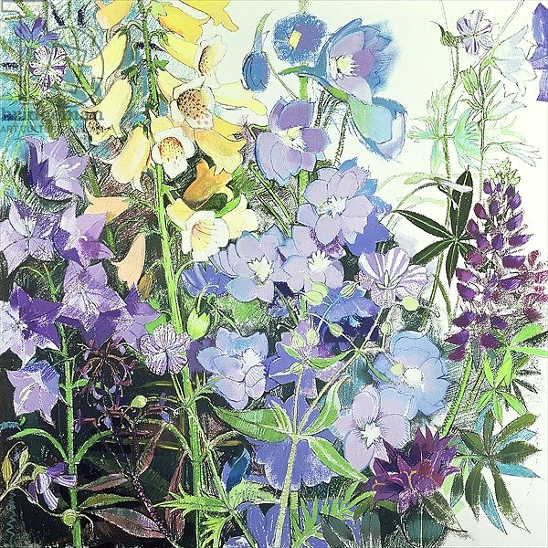 Delphiniums and Foxgloves