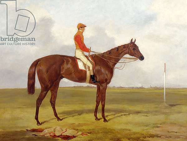 A Portrait of 'The Cossack', Winner of the 1847 Derby with S. Templeman Up, 1847