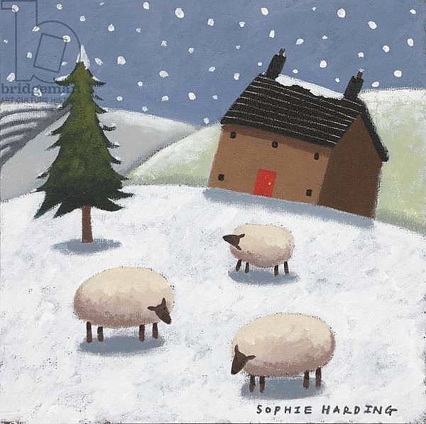 Sheep in the Snow