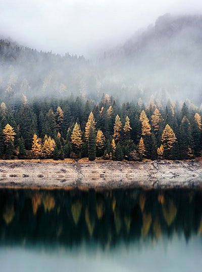 Осенний лес в отражении воды