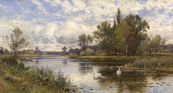 Вид на реку с лебедями