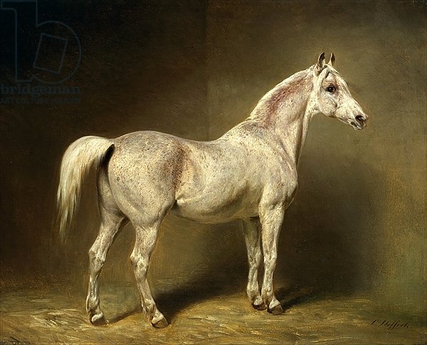 'Beatrice', the white arab saddlehorse of Helmuth Graf von Moltke, 1855