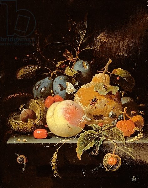 Still Life of Fruit and Nuts on a Stone Ledge