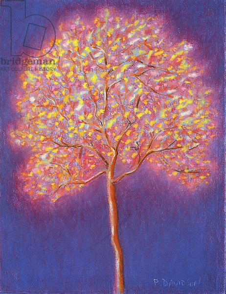 Gold Tree, 1997