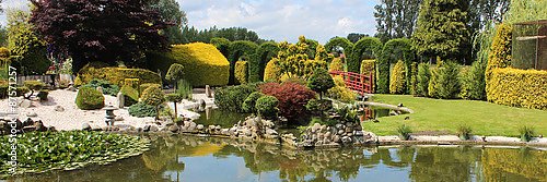 Японский сад с прудом