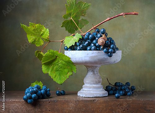 Натюрморт с улиткой на винограде