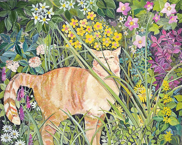 Cat and Long Grass, 1996