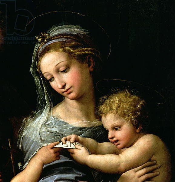 The Virgin of the Rose, c.1518 2