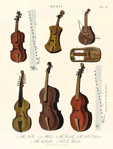 Коллекция старинной скрипки, альта, виолончели и многого другого (1810).