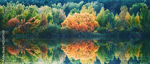 Осенний пейзаж с отражением деревьев в воде