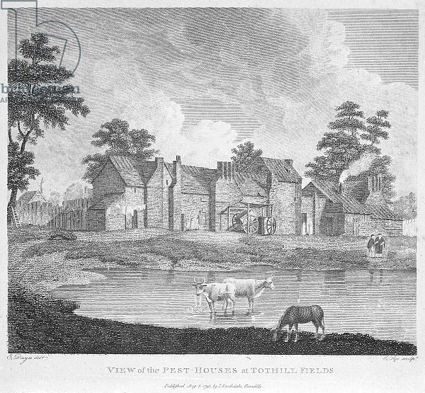 View of the Pest-Houses at Tothill Fields engraved by Charles Pye, 1796