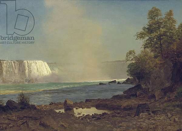 Niagara Falls, 1863