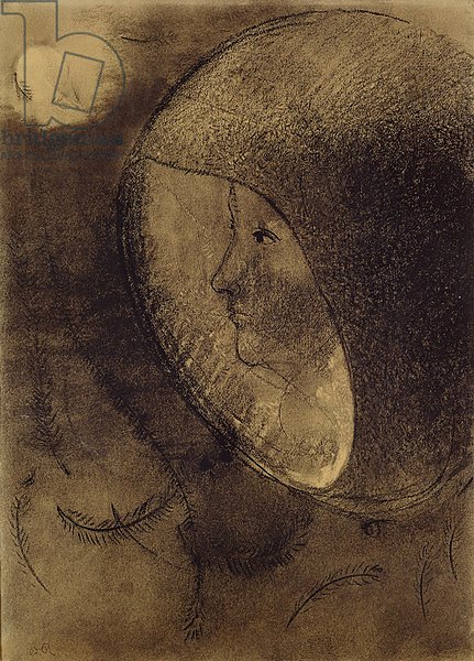 Cellular Face, 1895