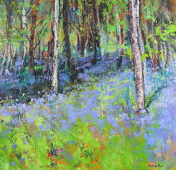 Bluebells and Birches