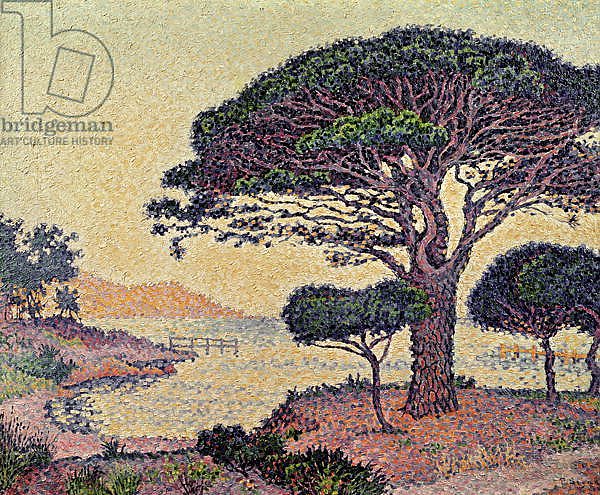 Постер Синьяк Поль (Paul Signac) Umbrella Pines at Caroubiers, 1898