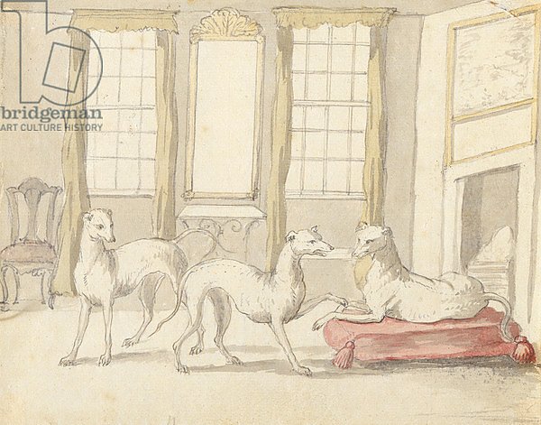 Three Greyhounds in a room