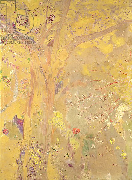 Yellow Tree, 1900-01