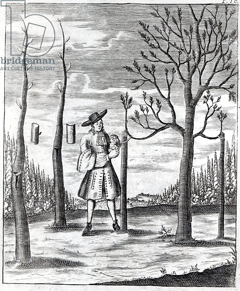 Gardening and Plant Maladies, an illustration from 'Neue Garten-lust' by Heinrich Hesse, 1696