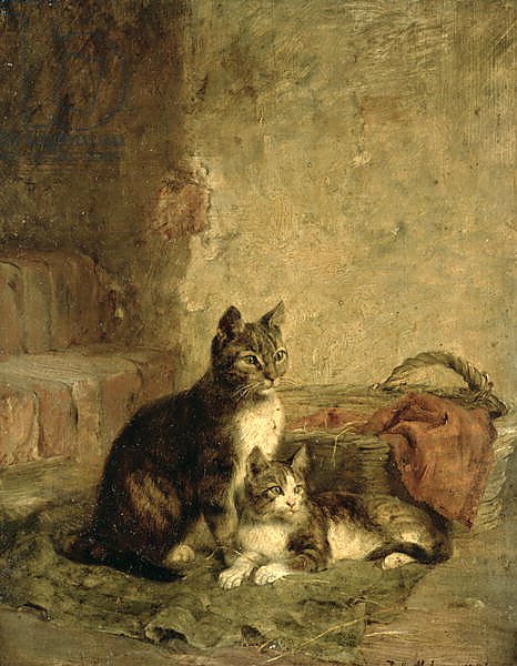 Cats, 1883