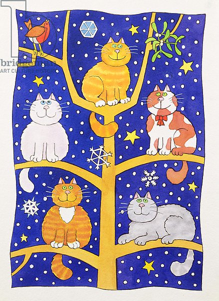 Five Christmas Cats